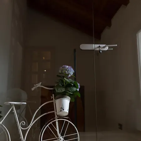 Blue Horizon By Anica Apartment Zadar